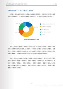 销冠科技 2018中国房地产经纪人报告 附下载