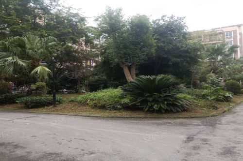 逸树美家优点 不足,逸树美家怎么样,逸树美家周边房产中介经纪人评价