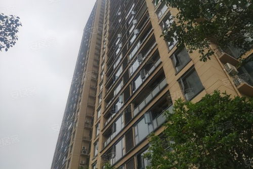 中建观湖国际优点 不足,中建观湖国际怎么样,中建观湖国际周边房产中介经纪人评价