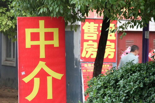 房地产中介公司最新税收优惠政策解读与税收风险分析