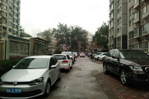 丽都花园优点 不足,丽都花园怎么样,丽都花园周边房产中介经纪人评价