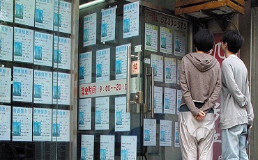 金屯镇水稻旱直播技术受热捧