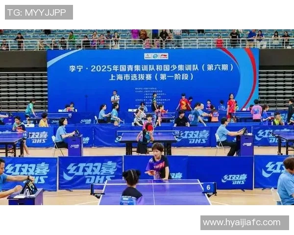 南京乒乓球队总决赛精彩配合展现团队默契与实力的完美结合