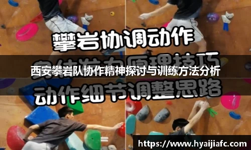 k1体育网页版