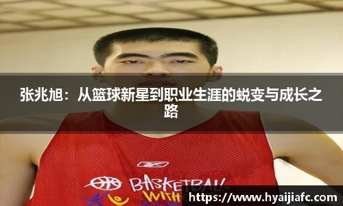 k1体育官方网站
