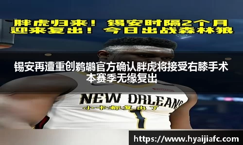 k1体育官方网站