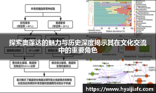 k1体育官方网站