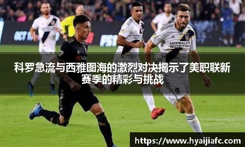 k1体育官方网站